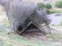 Albums/20060200-New Zealand 2006/20060314-Dunedin/68